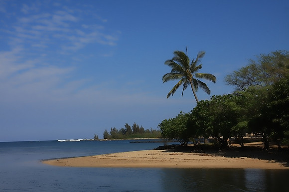 North Shore