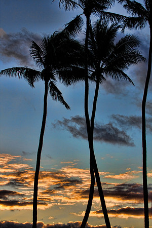 North Shore